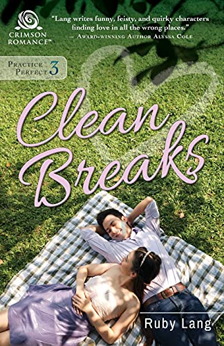 Beispielbild fr Clean Breaks zum Verkauf von Better World Books