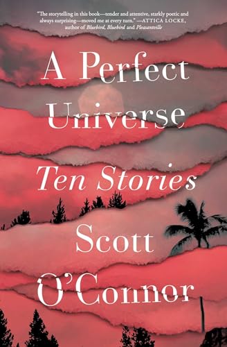 Imagen de archivo de A Perfect Universe Ten Stories a la venta por Nilbog Books