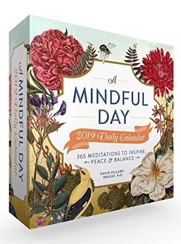 Stock image for A Mindful Day 2019 Daily Calendar: 365 Meditations to Inspire Peace & Balance for sale by Irish Booksellers