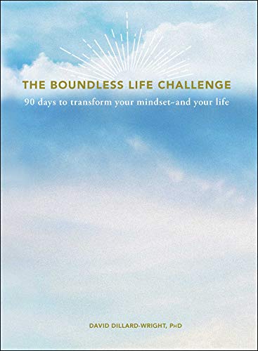 Imagen de archivo de The Boundless Life Challenge: 90 Days to Transform Your Mindset--and Your Life a la venta por Book Outpost