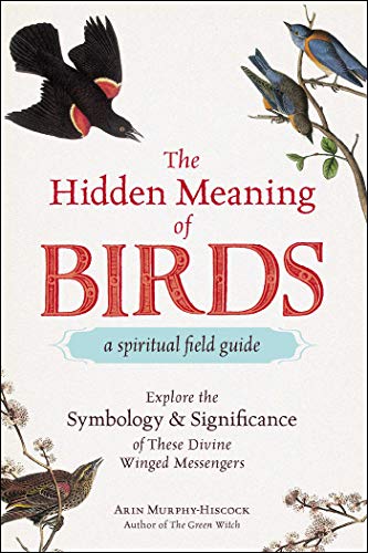 Beispielbild fr The Hidden Meaning of Birds zum Verkauf von Blackwell's