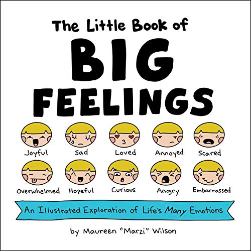 Imagen de archivo de The Little Book of Big Feelings: An Illustrated Exploration of Lifes Many Emotions a la venta por Zoom Books Company