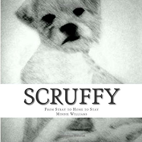 9781507527313: Scruffy: From Stray to Home to Stay