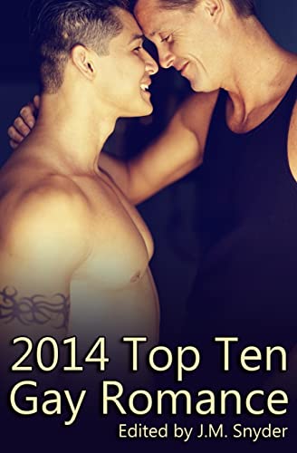 Imagen de archivo de 2014 Top Ten Gay Romance a la venta por ALLBOOKS1