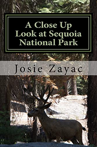 Imagen de archivo de A Close Up Look at Sequoia National Park (A Close Up Look at National Parks) a la venta por Lucky's Textbooks