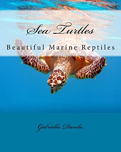 Imagen de archivo de Sea Turtles: Beautiful Marine Repitles a la venta por THE SAINT BOOKSTORE