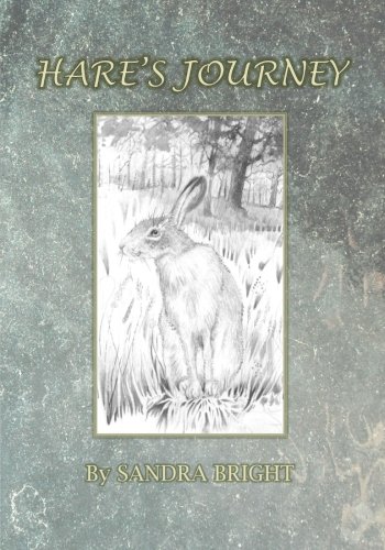 Stock image for Hare's Journey for sale by MusicMagpie