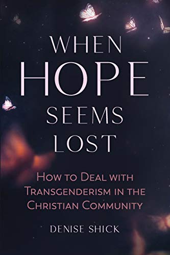 Stock image for When Hope Seems Lost [Paperback] Shick, Denise for sale by Mycroft's Books