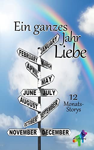 Stock image for Ein ganzes Jahr Liebe: 12 Monats-Storys (German Edition) for sale by ALLBOOKS1