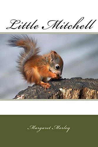 Beispielbild fr Little Mitchell zum Verkauf von Lucky's Textbooks