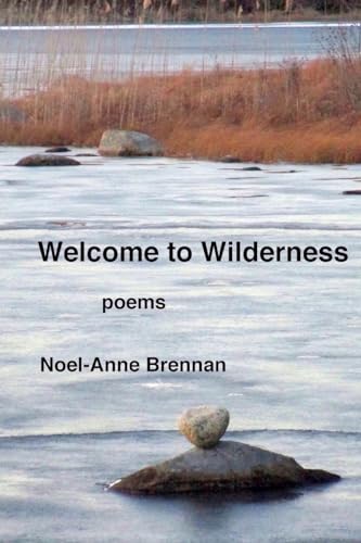9781507845073: Welcome to Wilderness: poems