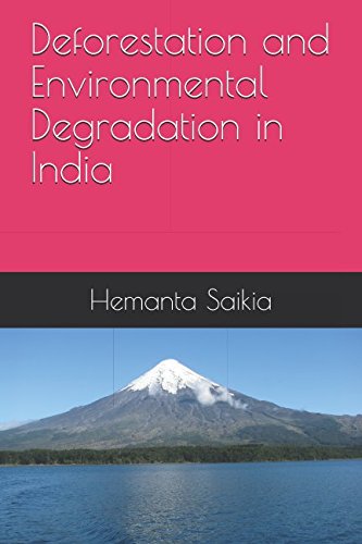 Beispielbild fr Deforestation and Environmental Degradation in India zum Verkauf von Revaluation Books