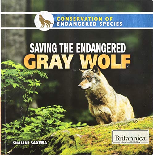 Stock image for Saving the Endangered Gray Wolf (Conservation of Endangered Species) for sale by BookOutlet