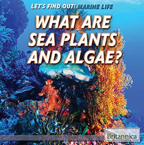 Beispielbild fr What Are Sea Plants and Algae? zum Verkauf von Better World Books
