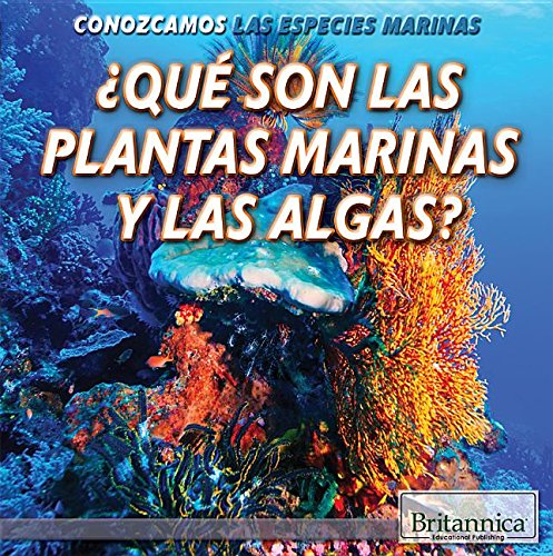 Imagen de archivo de ¿Qu Son Las Plantas Marinas y Las Algas? (What Are Sea Plants and Algae?) a la venta por Better World Books: West