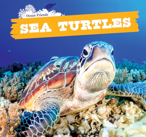 Imagen de archivo de Sea Turtles: Vol 6 a la venta por Revaluation Books