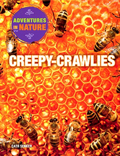 Stock image for Creepy-Crawlies (Adventures in Nature) for sale by Discover Books
