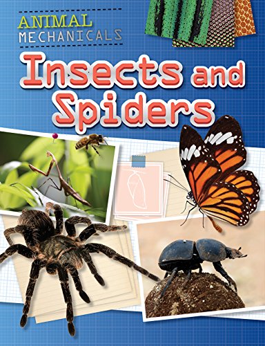 9781508150244: Insects and Spiders (Animal Mechanicals)