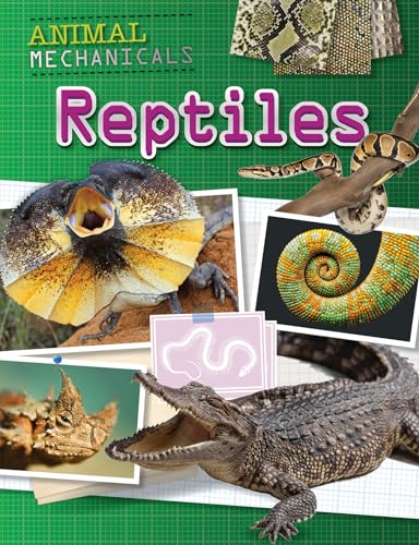 Beispielbild fr Reptiles zum Verkauf von Better World Books