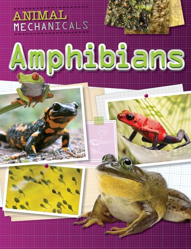 Beispielbild fr Amphibians zum Verkauf von Better World Books