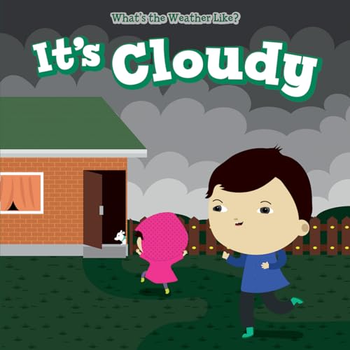 Imagen de archivo de It's Cloudy (What's the Weather Like?) a la venta por Irish Booksellers