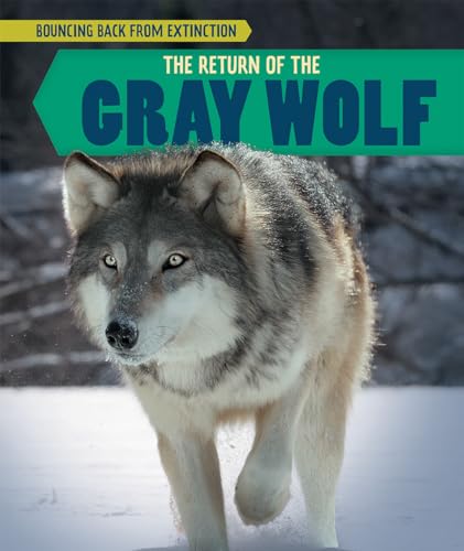 Beispielbild fr The Return of the Gray Wolf zum Verkauf von Better World Books