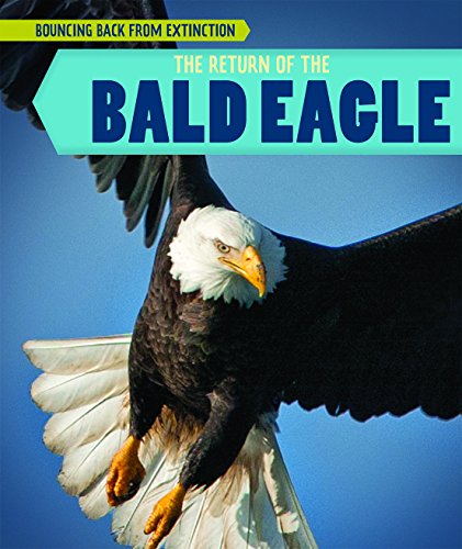 Beispielbild fr The Return of the Bald Eagle zum Verkauf von Better World Books
