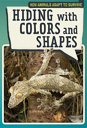 Beispielbild fr Hiding with Colors and Shapes zum Verkauf von Better World Books
