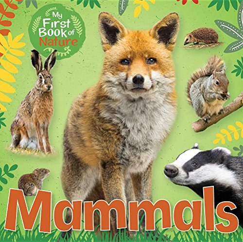 Imagen de archivo de Mammals a la venta por ThriftBooks-Dallas