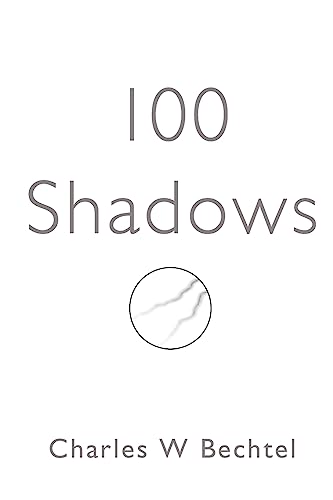 Imagen de archivo de 100 Shadows a la venta por THE SAINT BOOKSTORE