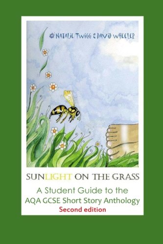 Stock image for 'Sunlight on the Grass': A Student Guide to the AQA GCSE Short Story Anthology: Large Print Edition for sale by THE SAINT BOOKSTORE