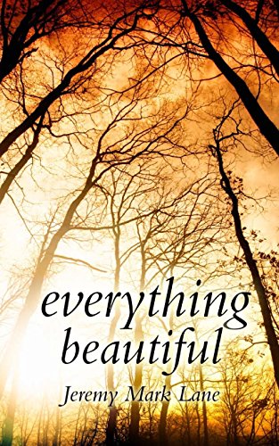 Beispielbild fr Everything Beautiful: And Other Stories zum Verkauf von ThriftBooks-Dallas