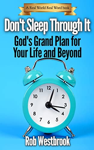 Stock image for Don't Sleep Through It: God's Grand Plan for Your Life and Beyond for sale by THE SAINT BOOKSTORE