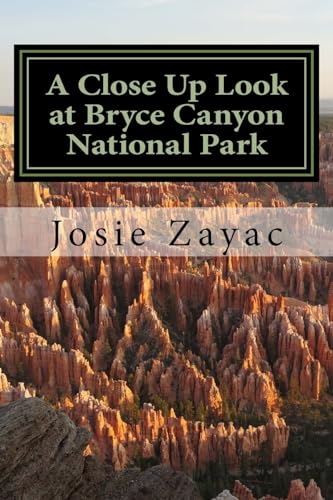 Imagen de archivo de A Close Up Look at Bryce Canyon National Park a la venta por THE SAINT BOOKSTORE