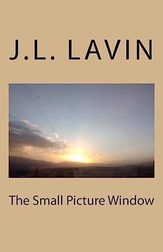 Imagen de archivo de The Small Picture Window a la venta por Lucky's Textbooks