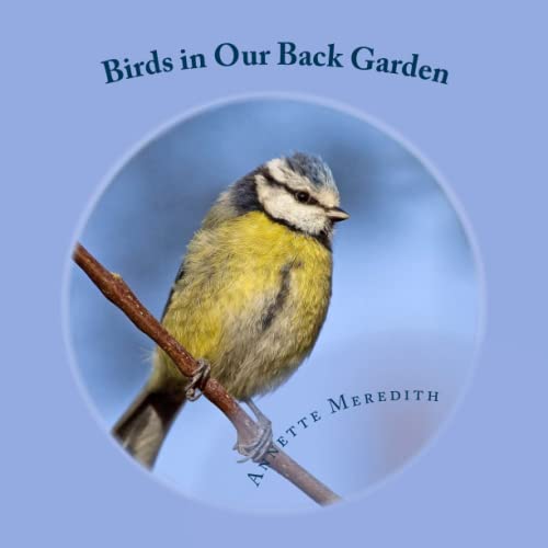 Stock image for Birds in Our Back Garden (Nature on Our Doorstep) for sale by WorldofBooks