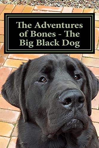 Stock image for The Adventures of Bones - The Big Black Dog: "Bones Needs a Playmate" for sale by Save With Sam