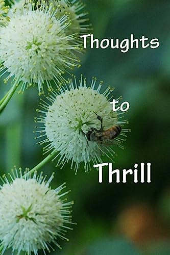9781508851059: Thoughts to Thrill
