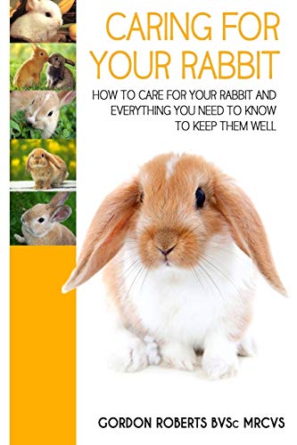 Beispielbild fr Caring For Your Rabbit How to care for your Rabbit and everything you need to know to keep them well zum Verkauf von Buchpark