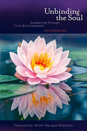 9781508952398: Unbinding the Soul: Awakening Through Crisis and Compassion