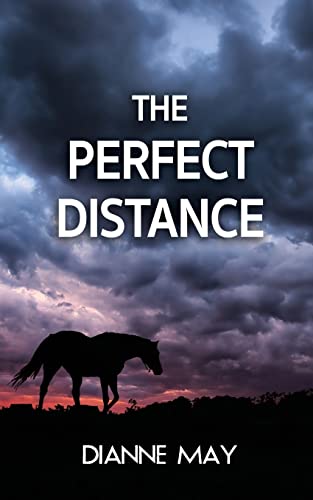 Beispielbild fr The Perfect Distance zum Verkauf von Better World Books
