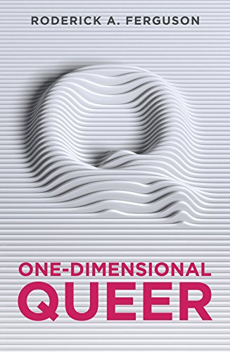 9781509523566: One-Dimensional Queer