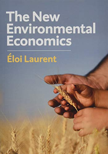 Imagen de archivo de The New Environmental Economics: Sustainability and Justice a la venta por ZBK Books