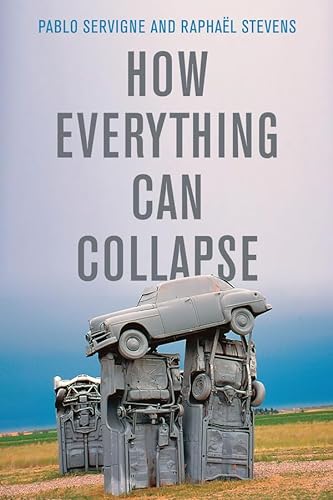 Imagen de archivo de How Everything Can Collapse: A Manual for our Time Format: Cloth a la venta por INDOO