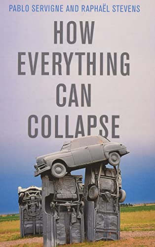 Imagen de archivo de How Everything Can Collapse: A Manual for our Times a la venta por mountain