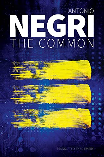 Imagen de archivo de The Common Format: Paperback a la venta por INDOO