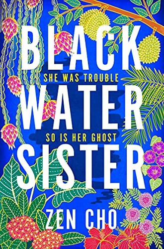 Beispielbild fr Black Water Sister zum Verkauf von AwesomeBooks