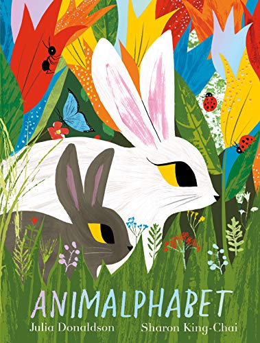 Stock image for Animalphabet: A lift-the-flap ABC book from the author of The Gruffalo for sale by WorldofBooks