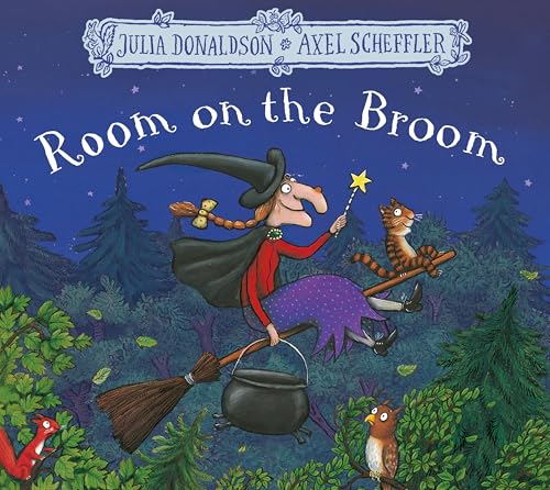 9781509804771: Room on the Broom [Lingua inglese]