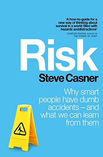 Stock image for Risk: Why Smart People Have Dumb Accidents - And What We Can Learn From Them for sale by WorldofBooks